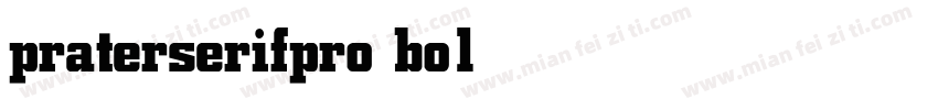 praterserifpro bold字体转换